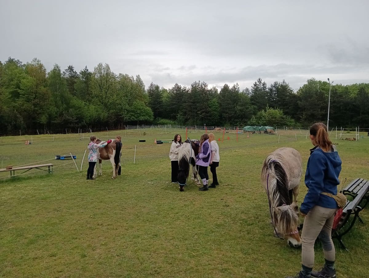 Czyścimy konie - obóz jeździecki Horseback