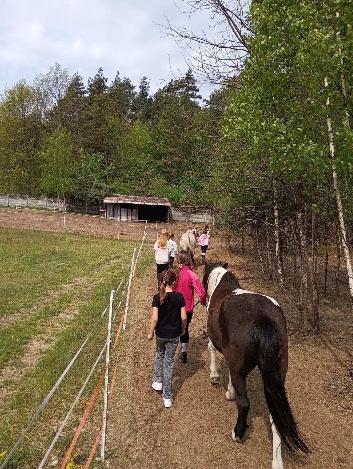 Prowadzenie koni z wybiegu na jazdy - obóz jeździecki Horseback