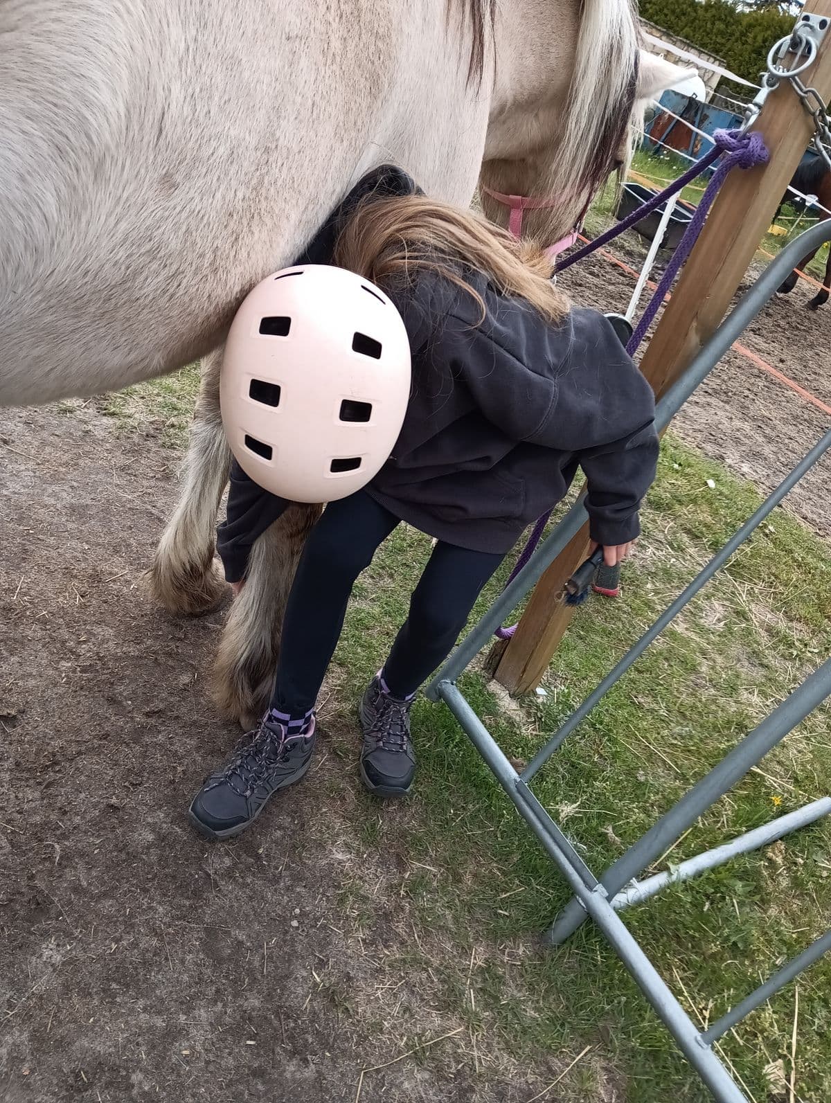 Uczymy się czyścić kopyta - obóz jeździecki Horseback
