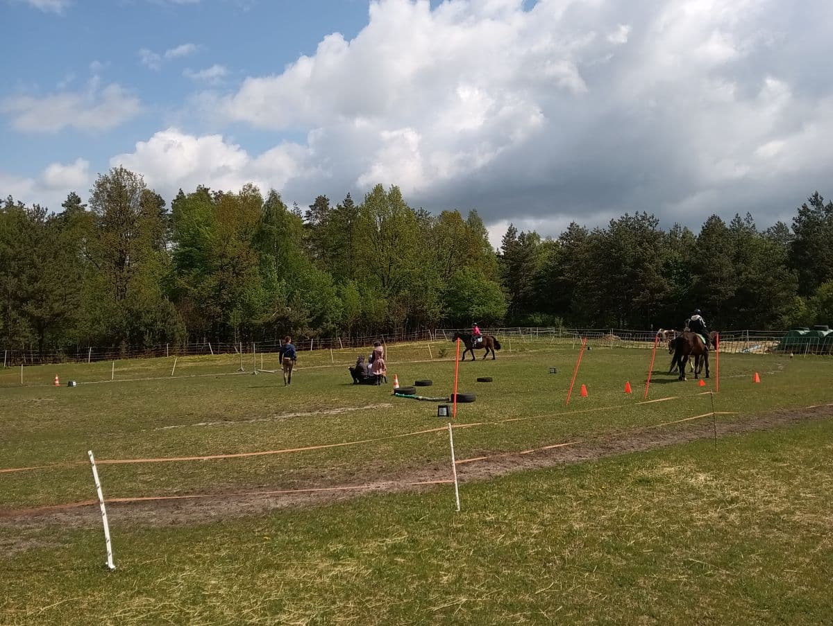 Zastęp na ujeżdżalni - obóz jeździecki Horseback