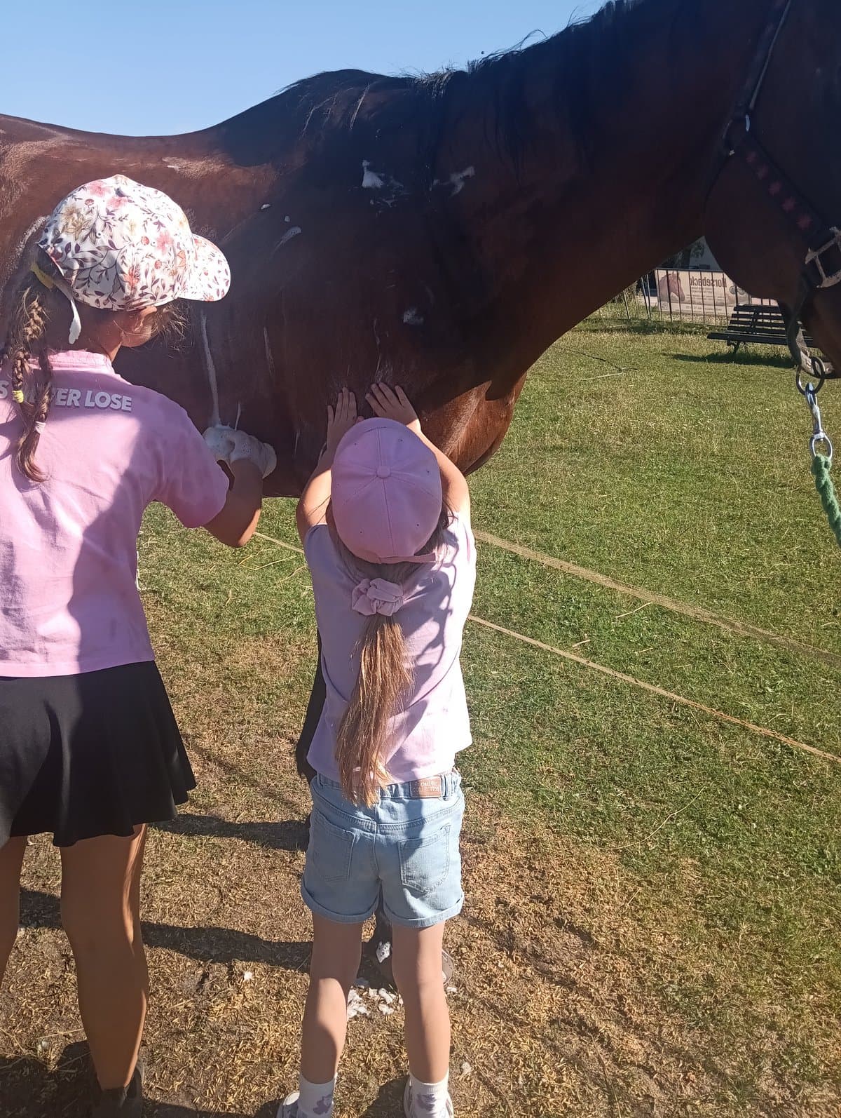 Czyścimy konia - obóz jeździecki Horseback, sierpień 2026