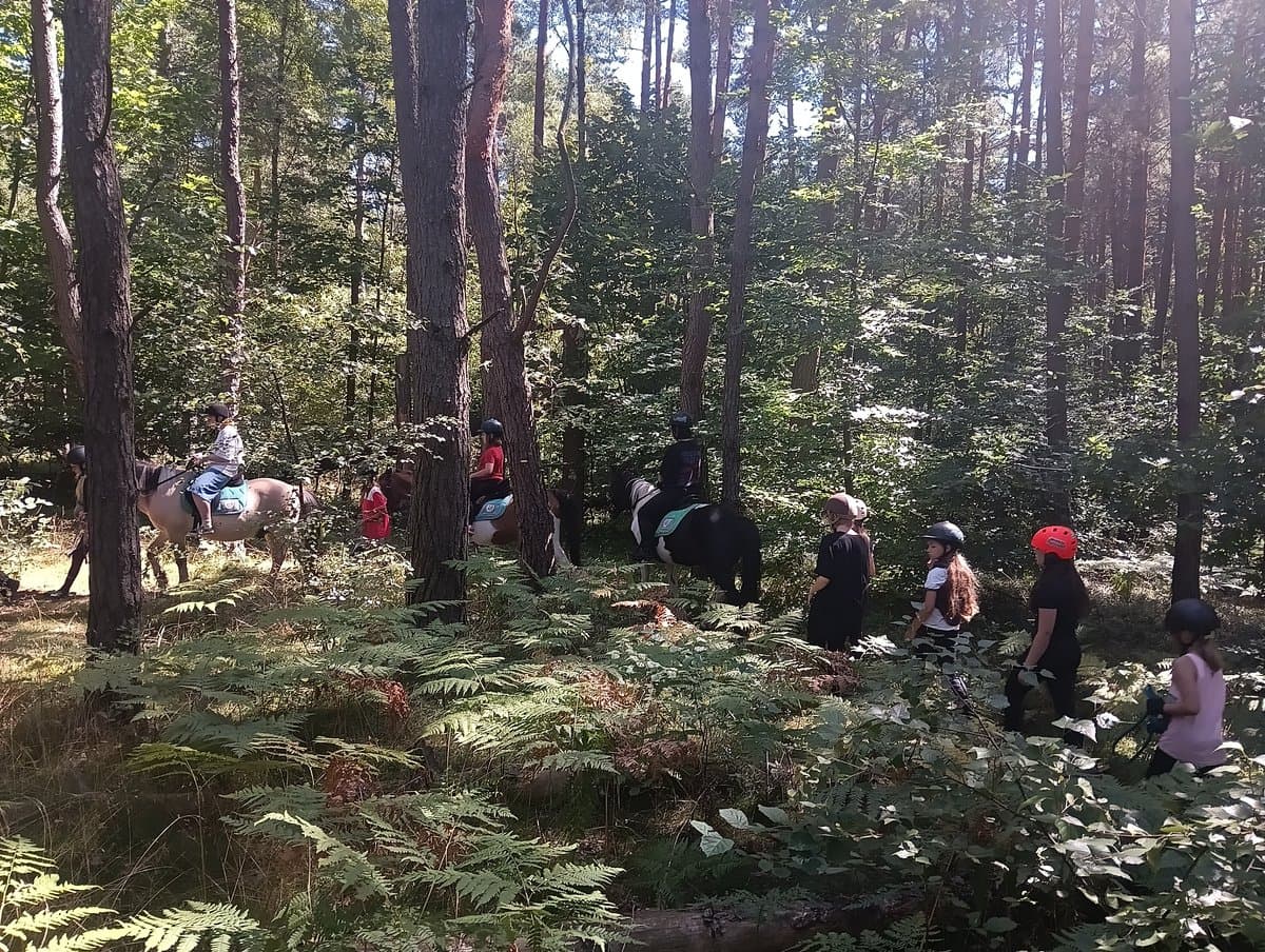 Jazda w terenie przez las - obóz jeździecki Horseback, sierpień 2026